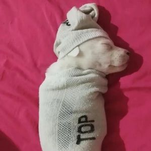 Meet your Posher, Gage